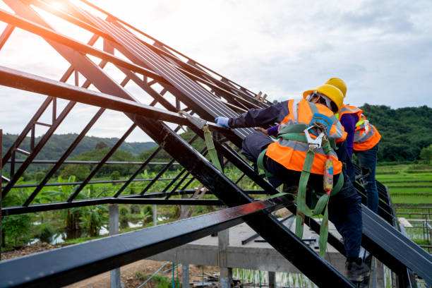 Best Gutter Installation and Roofing  in Ridgeville, SC