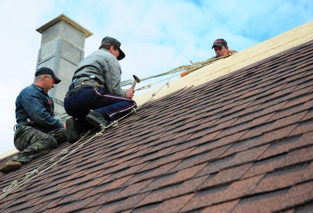Professional Roofing Contractor in Ridgeville, SC